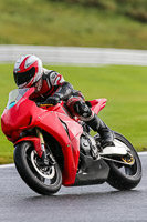 PJ-Motorsport-Photography-2020;anglesey;brands-hatch;cadwell-park;croft;donington-park;enduro-digital-images;event-digital-images;eventdigitalimages;mallory;no-limits;oulton-park;peter-wileman-photography;racing-digital-images;silverstone;snetterton;trackday-digital-images;trackday-photos;vmcc-banbury-run;welsh-2-day-enduro